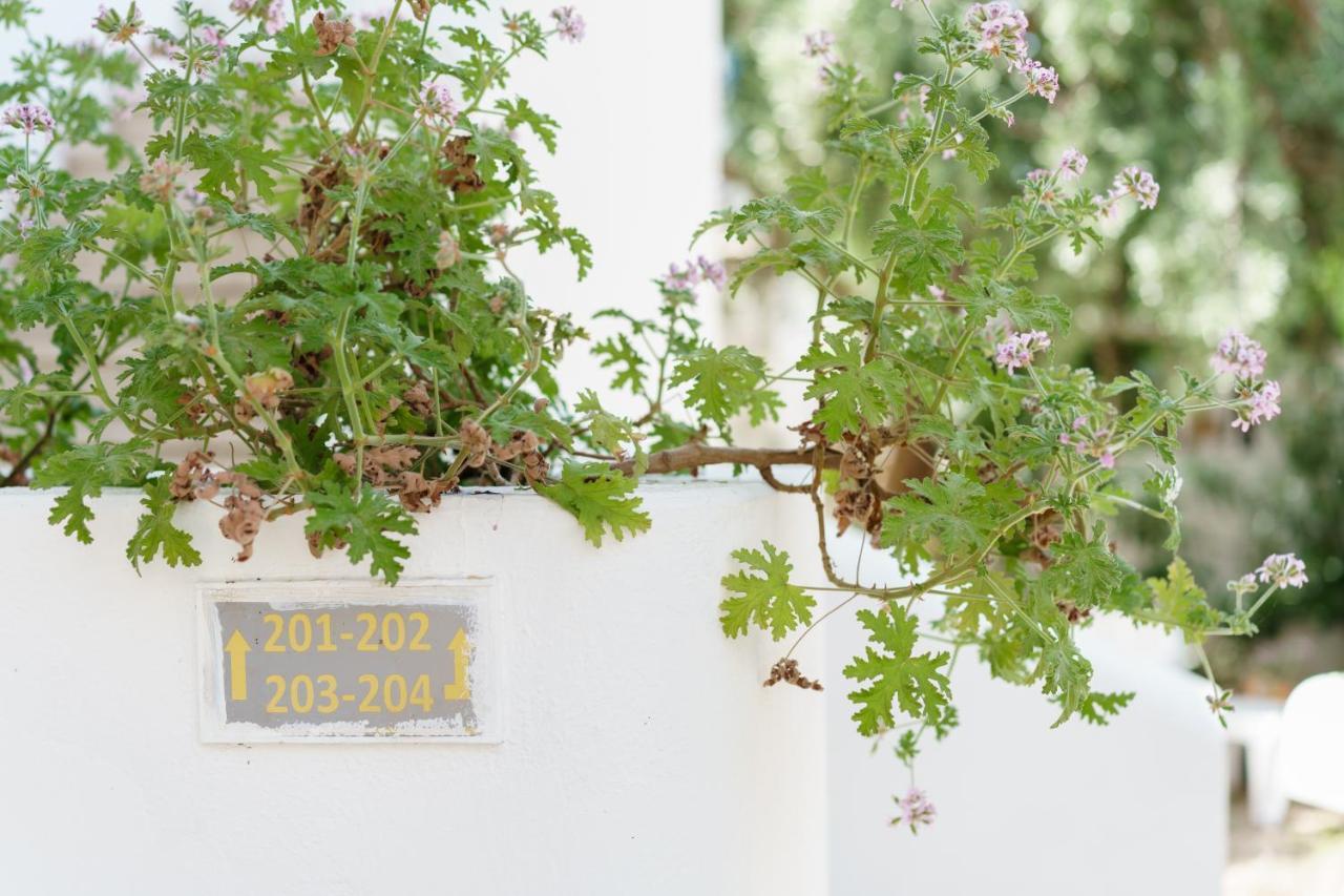 โรงแรมคอสตา ซาริยาซ Bodrum ภายนอก รูปภาพ